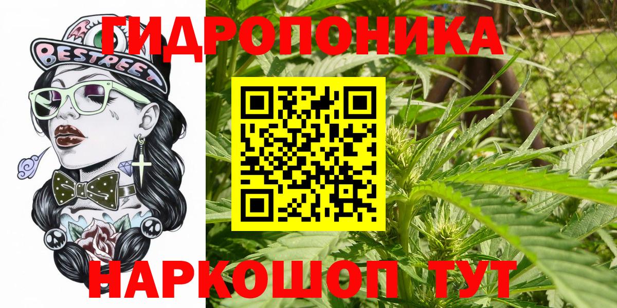Каннабис марихуана Архангельск
